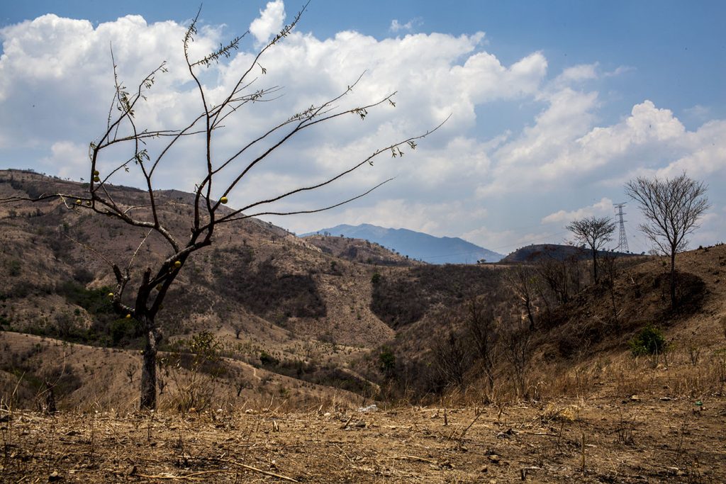 Las Cifras De Desnutrici N No Son Lo Que Parecen As Se Puede Mejorar